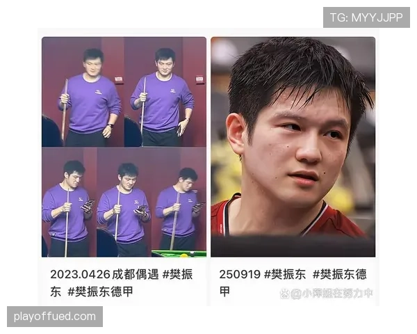 樊振东打完比赛就秒变大厨？这反差比韩剧还精彩！